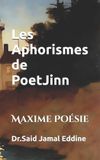 Les Aphorismes de PoetJinn Paperback