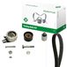 INA 530 0619 10 V-riem