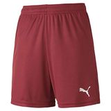 PUMA Teamgoal 23 Knit Shorts Jr