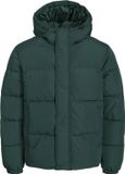 JACK&JONES JJEBRADLEY PUFFER HOOD SN Heren Buitenjas XL Groen Blauw