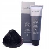 ALLWAVES coloration cheveux 4.2 violet brun moyen 100 ml
