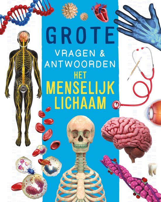 Het Rebo Productions Het menselijk lichaam - Grote vragen & antwoorden