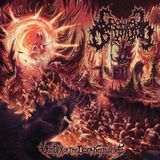 Vortex Cranial Osteotomy Vortex Of The Dark Knowledge (CD)