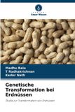 Genetische Verlag Unser Wissen Genetische Transformation bei Erdnüssen