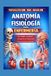 Anatomía y Fisiología para Enfermería