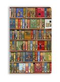Bodleian Flame Tree Bodleian Libraries: High Jinks Vintage Bookshelves (Soft Touch Journal)