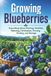 Growing Libri GmbH Growing Blueberries: Everything About Planting, Varieties, Watering, Fertilization, Pruning, Fruiting, and Storage
