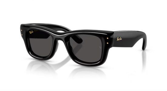 Ray-Ban RB4940 Wayfarer Puffer Glanzend Zwart