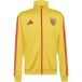 ADIDAS PERFORMANCE Trainingsjack 'RC Lens DNA' curry / rood