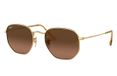 Ray-Ban HEXAGONAL FLAT LENSES zonnebril Goud Unisex Zeshoekig Bruin