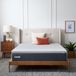 LUCID 3 Inch Bamboe Houtskool Memory Foam Matras Topper - Volledig
