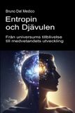 Entropin Libri GmbH Entropin och djävulen. Från universums tillblivelse till medvetandets utveckling.