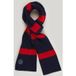 River Woods Foulard à rayures bleu
