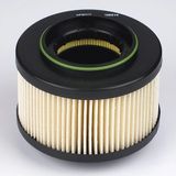 Delphi HDF607 brandstoffilter