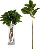 IBERGARDEN Tak Lakens 80 cm Groen Plastic (12 Stuks)