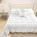PETTI Artigiani Italiani - Warm fluwelen dekbed 160x260 cm, dubbelzijdige sprei, 350 g/m², Wit, gemaakt in Italië