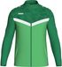 Jako Iconic Polyestervest Heren - Zachtgroen / Sportgroen | Maat: 4XL