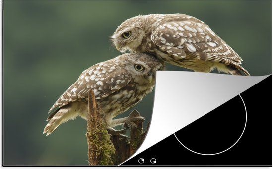 KitchenYeah® Inductie beschermer 77x51 cm - Uilen - Dieren - Liefde - Inductie kookplaat accessoire