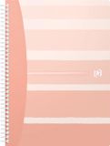 Oxford Iconics spiraalschrift, B5, 120 bladzijden, geruit, 5 stuks