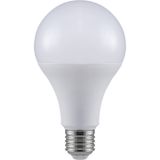 V-TAC 23749 LED-lamp Energielabel E (A - G) E27 Peer 20 W = 150 W Koudwit (Ø x l) 80 mm x 155 mm 1 stuk(s)