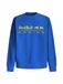 Red Bull Racing Sweatshirt Bleu