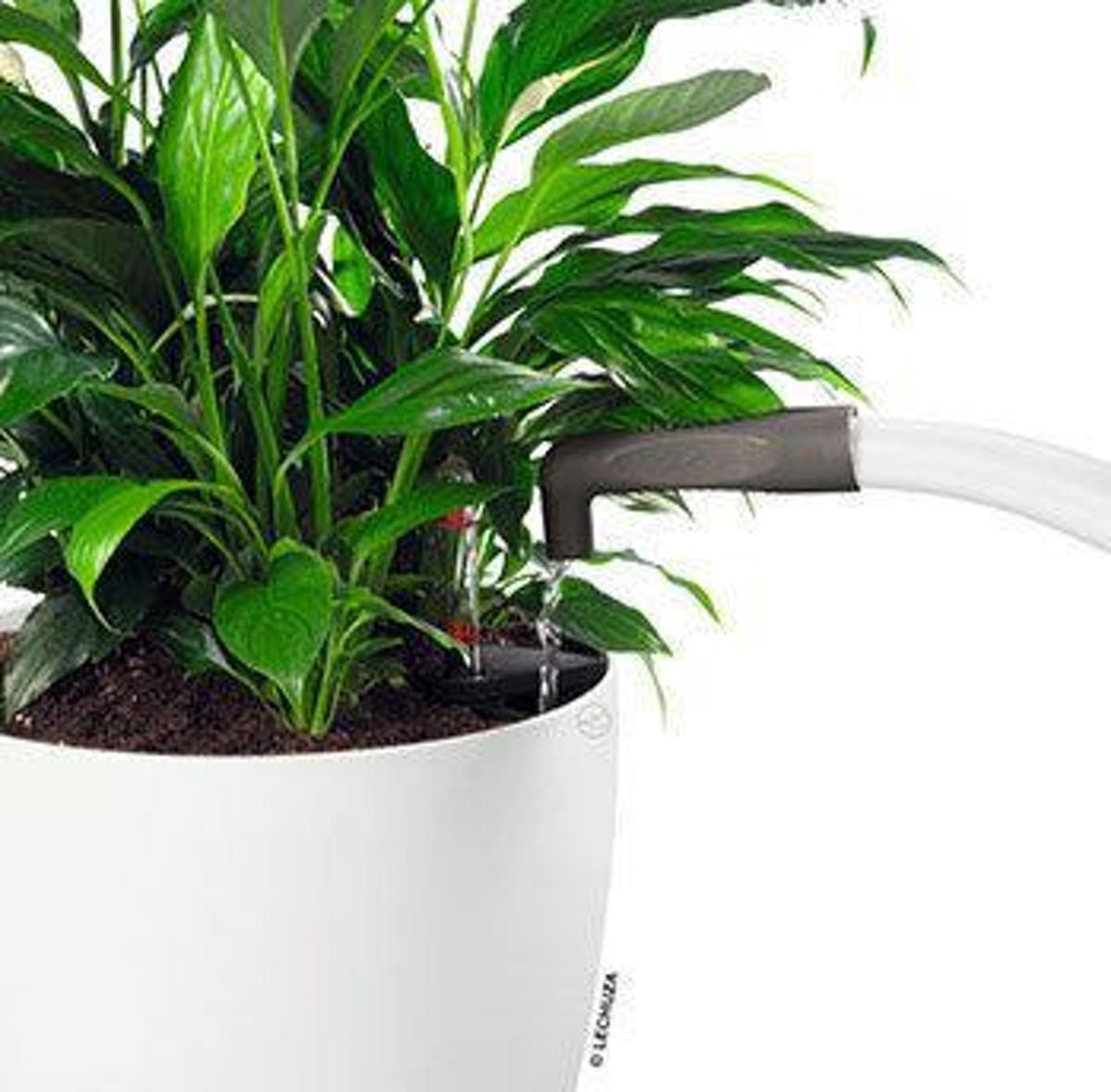 Lechuza Plantenbak Pico giethulpstuk zwart - 4008789199164