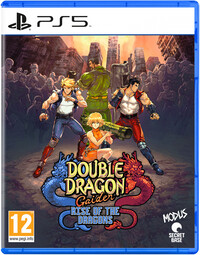 Mindscape double dragon gaiden: rise of the dragons PlayStation 5