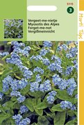 Buzzy Hortitops Zaden - Myosotis alpestris Blue Ball