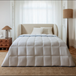 MORPHEA Couette d'hiver Coton et Polyester 5 cm d'épaisseur - 200 x 200 cm