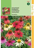 Hortitops Zaden - Echinacea, Zonnehoed Paradiso