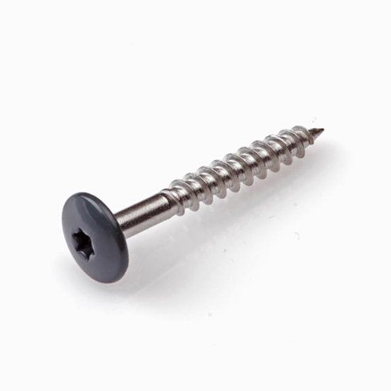 Hoenderdaal Fasteners Hoenderdaal HPL Schroef RVS-A2 Torx TX20 Gitzwart RAL9005 4.8x50 | 100 stuks