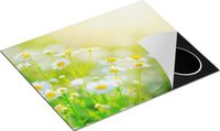 Chefcare Inductie Beschermer Witte Kamille Bloemen 65x52cm