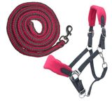 PFIFF 103103 Halsterset "Sunny", 3-delige set van halster, gebreid en vliegenfranjes, individueel aanpasbaar, grijs-roze, cob