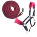 PFIFF 103103 Halsterset "Sunny", 3-delige set van halster, gebreid en vliegenfranjes, individueel aanpasbaar, grijs-roze, cob