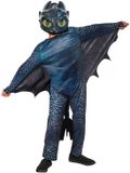 Rubies How to Train Your Dragon – Toothless-kostuum voor kinderen, Maat 116