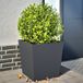 Maison Exclusive Jardinière, 2 pièces, anthracite, 50x50x50 cm, acier