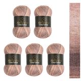 Wollbiene Crazy Cotton Batik, 5 x 100 g, 500 gram met kleurverloop, 55% katoen, meerkleurig, meerkleurig, breiwol, wol voor het hele jaar (6000 bruin/beige)