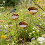 Omgoods - Insecten drinkbak met 3 opvangbakjes - Tuindecoratie voor buiten - Vintage tuinspies - Stevig metaal - Natuurlijk roesteffect