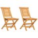VidaXL Tuinstoel Terras Teak 2 stuks 110 kg
