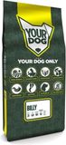 Yourdog Senior 12 kg billy hondenvoer