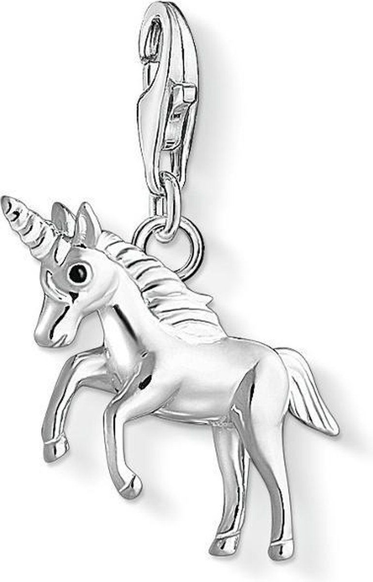 Thomas Sabo Charm Club Hanger 1509-643-21